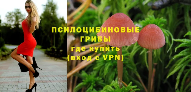 Галлюциногенные грибы Magic Shrooms  Биробиджан 